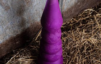 uk-university-students-design-sex-toys-for-cows-3